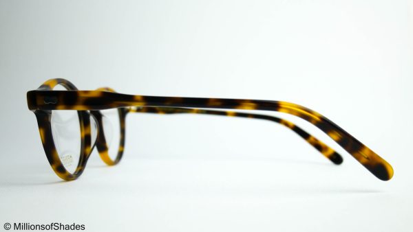 Miltzen Tortoise - Image 3