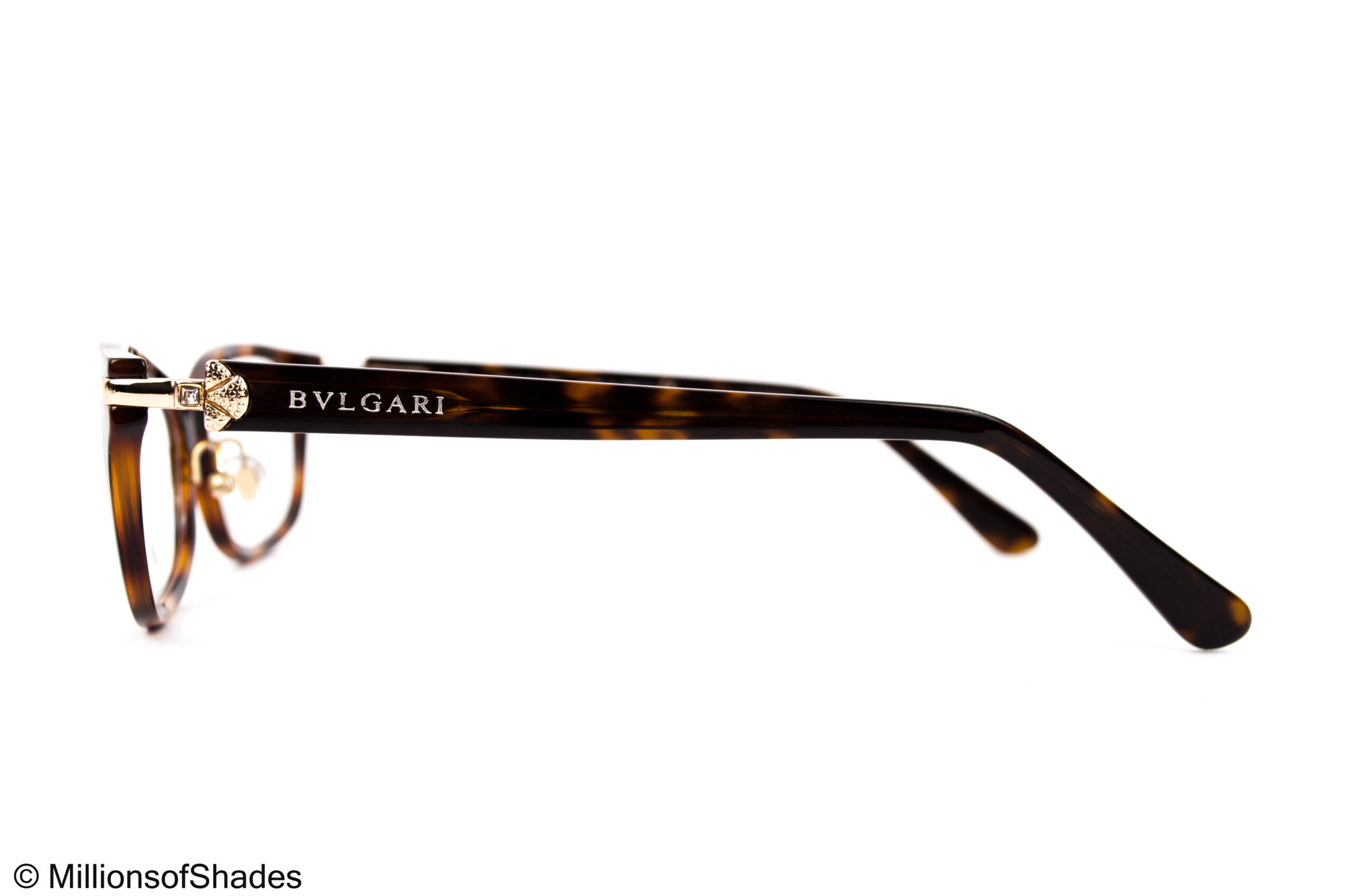 BV4202B Tortoise - Image 3