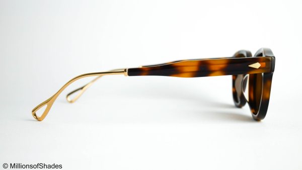 Lemtosh TTSE Tortoise Gold - Brown Polarized - Image 3