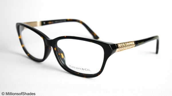 TF 8001 - Tortoise - Image 2