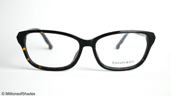 TF 8001 - Tortoise