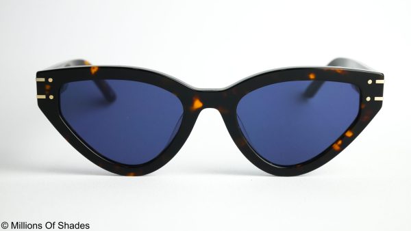 Signature B2U - Tortoise