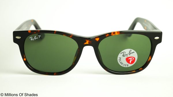 New Wayfarer - Tortoise G15 Polarized