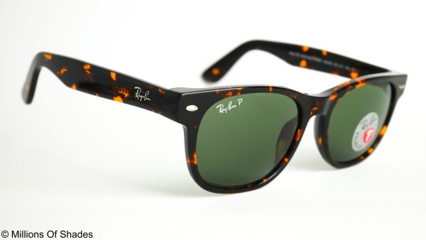 New Wayfarer - Tortoise G15 Polarized - Image 2
