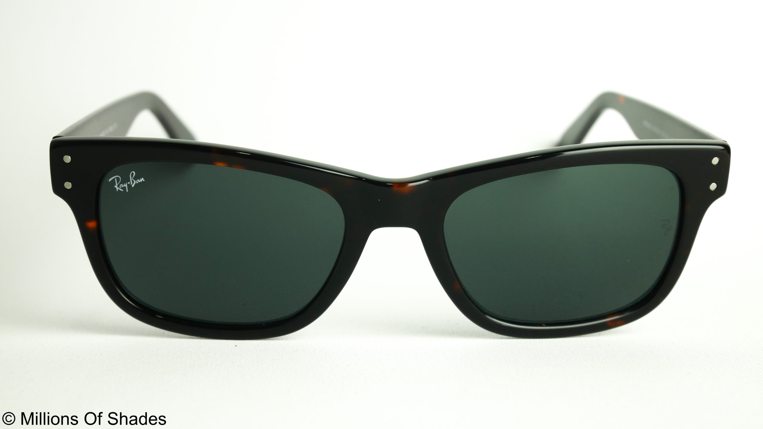 Mr Burbank RB2283 Tortoise Black