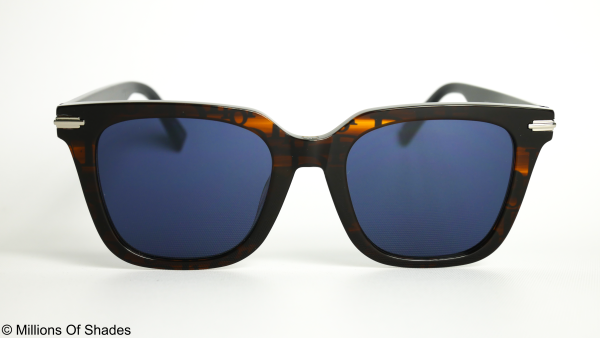DiorBlackSuit S10I - Brown
