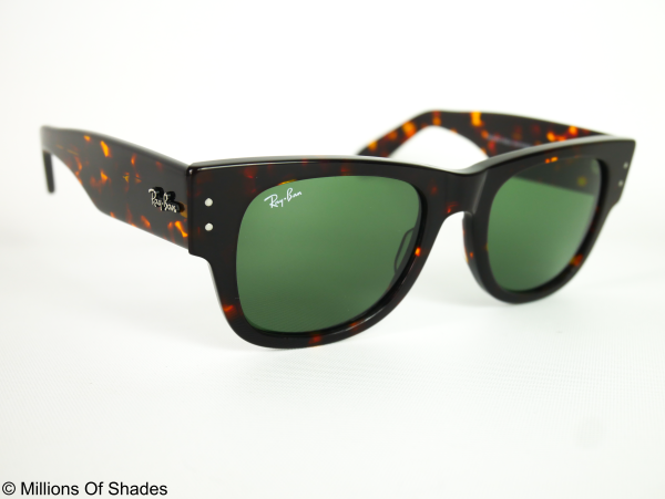 Mega Wayfarer - Tortoise G15 - Image 2