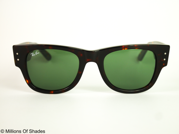 Mega Wayfarer - Tortoise G15