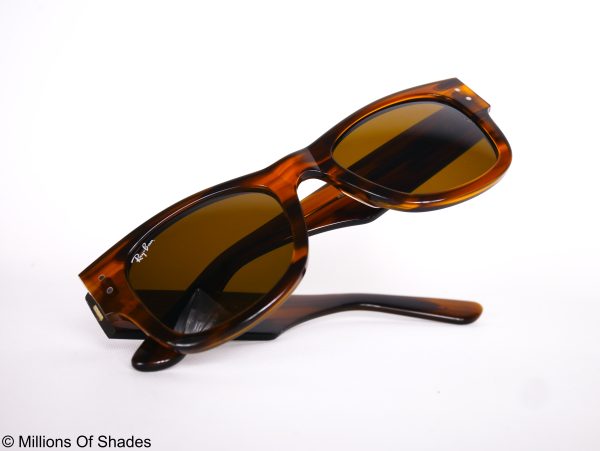 Mega Wayfarer - Brown B15 - Image 4